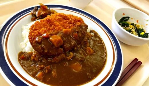 実は一般利用もできる「鳥取大学の学食」でランチ！種類豊富な小鉢や栗とあずきのパンケーキも｜鳥取市