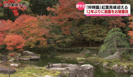 12年ぶりに実現　赤く色づく紅葉の時期に名庭「啐啄園」を特別公開　鳥取県鳥取市