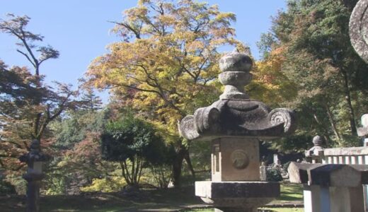 【2023紅葉】夜景も美しい紅葉ライトアップも！まだまだ楽しめる紅葉スポット【鳥取・島根】
