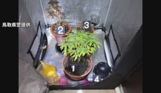販売する目的で大麻所持　愛知県の無職の男を逮捕　男から購入するなどした男女8人も逮捕　鳥取警察署
