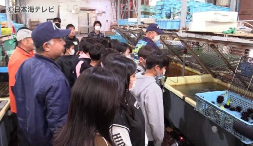 磯焼けの原因「ムラサキウニ」について児童が学ぶ　養殖の様子などを見学　鳥取県湯梨浜町