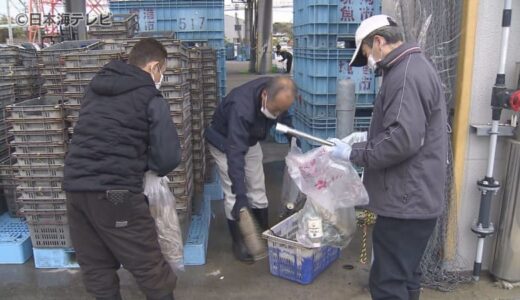 「クリーンなイメージで」　ベニズワイガニ水揚げ量日本一　境港の市場で大掛かりな清掃　200名が参加　鳥取県境港市