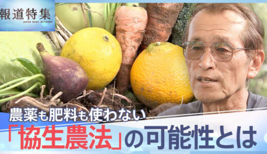 農薬・肥料使わず、土も耕さない、多様な作物を育てる「協生農法」の可能性とは【報道特集】