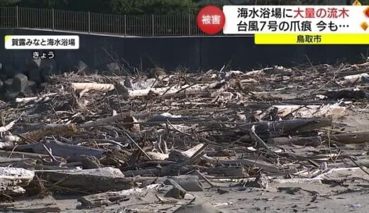 「台風７号」の“爪痕”今も　海水浴場に大量の流木が漂着　撤去作業続く（鳥取市）