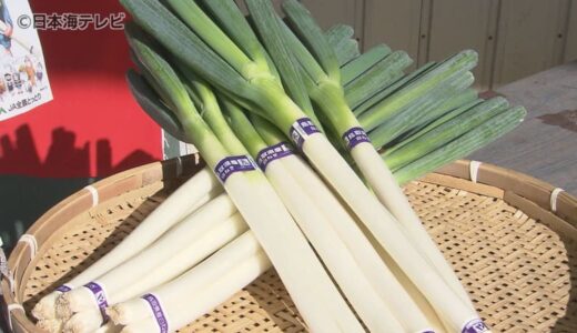 西日本有数の生産量を誇る　鳥取の白ネギ出発式　出荷作業や輸送の安全を祈願 鳥取県北栄町