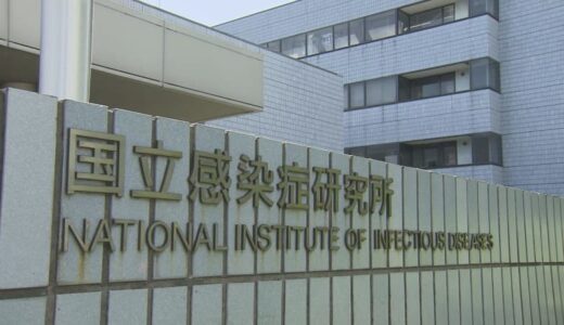 子どもがかかりやすい「咽頭結膜熱」と「溶連菌感染症」患者数が過去最多を更新　29都道府県で警報レベル超え