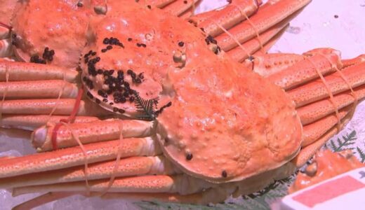漁獲量が減少傾向の「松葉がに」　値上げもある中、価格「例年通り」の市場も　お得に買うタイミングは？