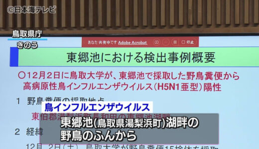 野鳥のフンから鳥インフルエンザウイルス　鳥取県が連絡会議　12日時点で周辺の養鶏所に異常は認められず