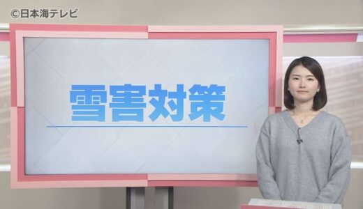 【解説】雪道運転の注意点　安全運転のポイントや雪による立ち往生への対策とは？