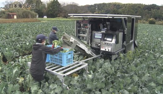 ブランド品“大山ブロッコリー”　AI機能を活かした収穫機に注目集まる　実演会開催　鳥取県大山町
