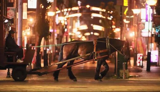 ばん馬がひく馬車に乗り、夜の帯広を眺める。この街だからこそ実現したプログラム『馬車BAR』