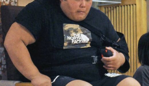 全休中の伯桜鵬は幕下転落