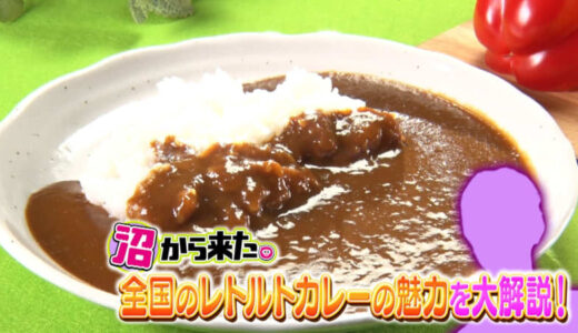 約1万食の味を知る“レトルトカレーマニア”おすすめ5つとおいしく食べる3つのポイント