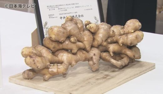 「このジンジャーを飲むことが『カンジンジャー（肝心じ ゃ）』」　ショウガの新ブランド「白兎生姜」誕生　鳥取県
