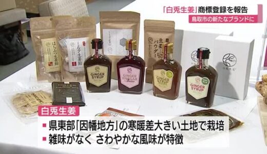 鳥取の新たなブランド産品に「白兎生姜」商標登録を報告（鳥取市）