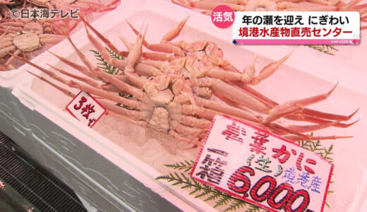 「想像を超える来場者」　年の瀬を迎え　水産物直売センターにぎわう　鳥取県境港市