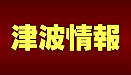 【津波情報】鳥取県境港市境で0.1メートルの津波を観測