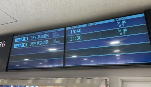 羽田空港で日航機が炎上、滑走路閉鎖で欠航相次ぐ　「明日から仕事、会社にはとりあえず休む連絡を…」帰省客Uターンに影響　3日も遅延・欠航の可能性