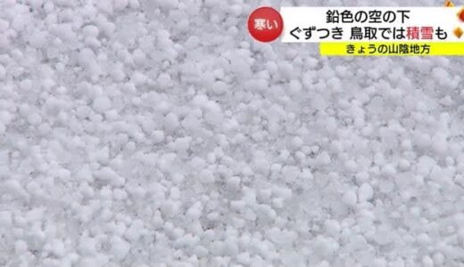 鳥取県を中心に広い範囲で雪や雨の空模様　この季節らしいぐずついた寒い１日に（島根・鳥取）　