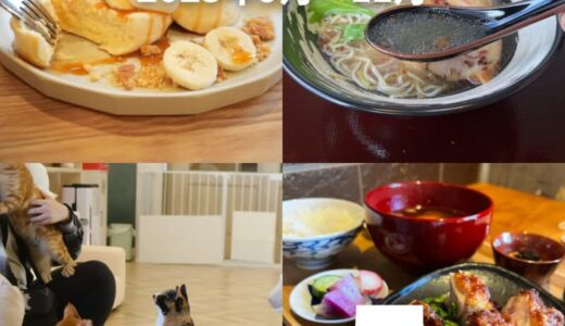 【ニューオープン】2023年9月〜11月にオープンした鳥取の新店5選！！