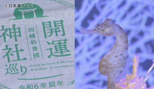 「辰」で開運！　今年の干支「辰」にちなんだ開運スポットにぎわう　鳥取県