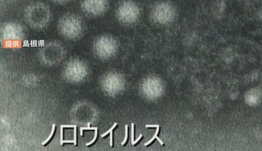 6人の園児からノロウイルス検出　保育園で感染性胃腸炎の集団感染発生　鳥取県中部では感染拡大傾向で対策徹底を