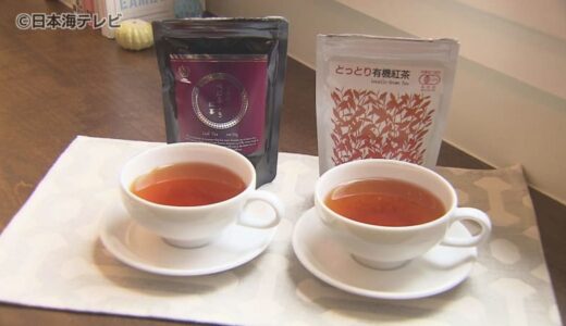 海外でも評価が高まる“国産紅茶”　山陰両県の紅茶にも注目！　紅茶の専門家が特徴を解説　おいしく飲めるいれ方は…「あんまり考えなくても適当でいい」　鳥取県・島根県