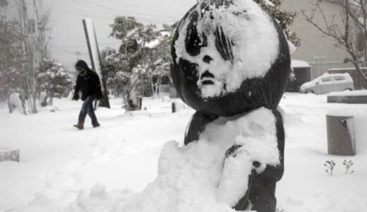 25日にかけて大雪警戒を　境港16センチ、鳥取15センチ、米子11センチ（24日午前11時現在）