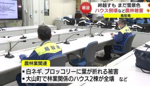 寒波のピーク過ぎ　雪は小康状態に　鳥取県では農林関係に被害か（鳥取市）