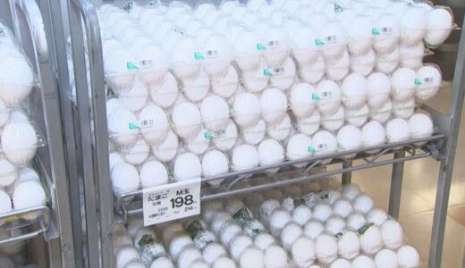 高騰していた「卵」、いつの間にか半額近くに…なぜ「優等生」に戻った？