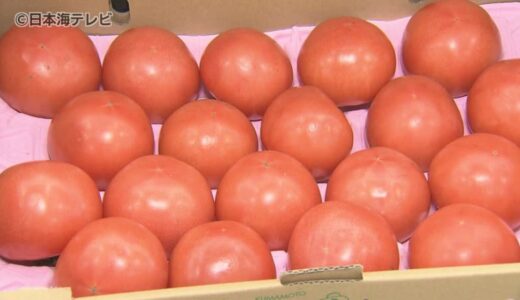 2月の値上げ商品が1000品目越え…　終わりが見えない物価高　物流費や賃金の上昇で値下げ実感はまだ先か