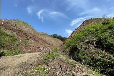 広島建設、広島県国有林で分収造林契約を締結森林保全、国産材安定供給に貢献