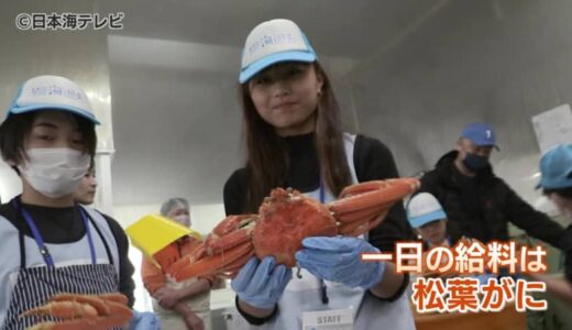 給料はなんと『松葉がに』！　児童がカニの調理や販売のお仕事体験　鳥取県鳥取市