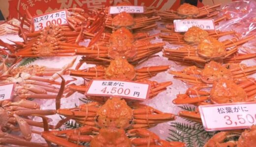 「ズワイガニ」ピーク時の半値も…年末年始が過ぎ需要が落ち着き「お買い得」