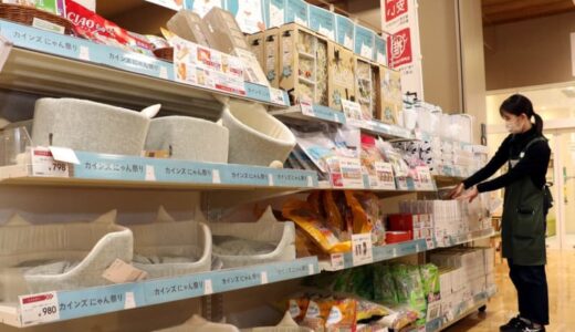ニャンニャンニャン、2月22日「猫の日」で加熱ネコノミクス商戦　ねこぶらっしゅ、肉球フィナンシェで癒やしを