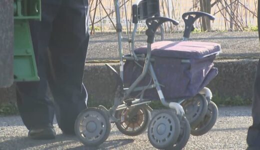 歩行中に交通事故で死亡した高齢者