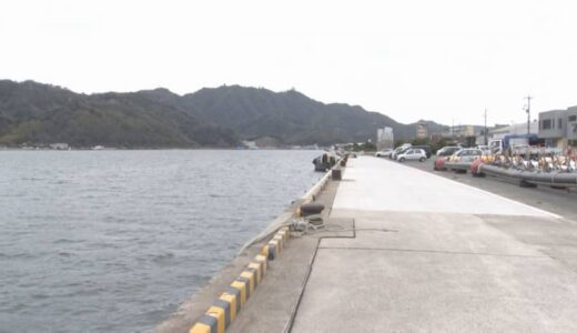 岸から６メートル、水面でロープつかんで助け求める高齢男性　消防隊員が海に飛び込み救助