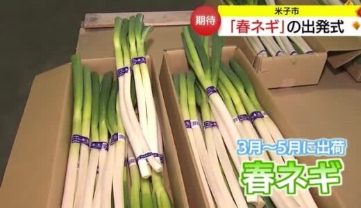 甘味豊かな仕上がりに　県西部特産「春ネギ」シーズンスタートを前に出発式（鳥取・米子市）