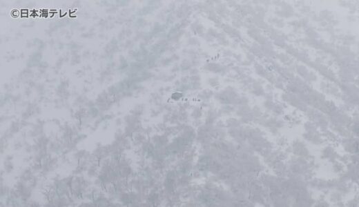大山で雪崩 男性２人が行方不明　捜索行うも、天候不良で断念
