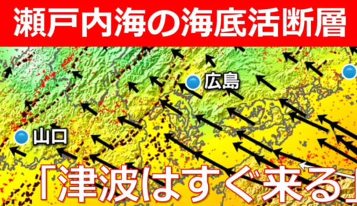「瀬戸内海でも津波はすぐ来る」能登半島と“同じタイプ” 海底活断層が複数存在　地盤隆起のおそれも　広島湾の海底活断層は危険度“最高ランク”（Sランク）評価