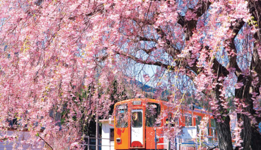 お花見はどこに行く？　鉄道写真家 山﨑友也さんの「とっておきの桜が楽しめる駅」5選