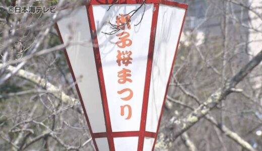 27日から開催される桜まつり　会場を彩るボンボリ取り付け　湊山公園の桜の開花は24日の見込み　鳥取県米子市
