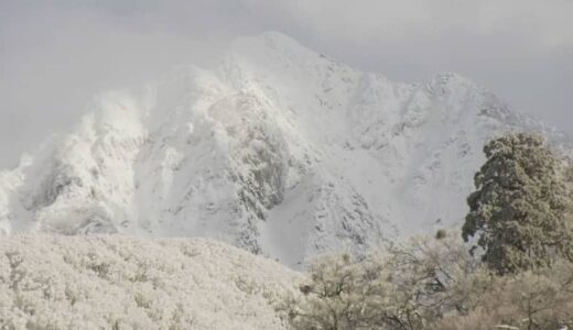 １６日朝から最大規模で捜索　大山雪崩で２人行方不明から２週間　鳥取県警など