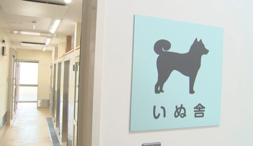 保護犬・保護猫の譲渡促進へ…飼い主への飼育教育　ドッグランやガラス張りの展示室も　鳥取県西部犬猫センター「オーリブ」開設
