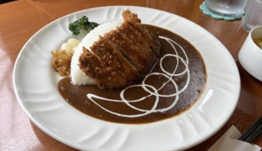 【キッチンカフェEN】洋食メニューを中心にランチが9種類と充実！小さなお子様用の椅子もあり子連れでも入りやすい｜鳥取市