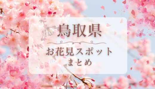 【鳥取】お花見スポットまとめ。約1000本の桜並木やライトアップされる夜桜スポットも！