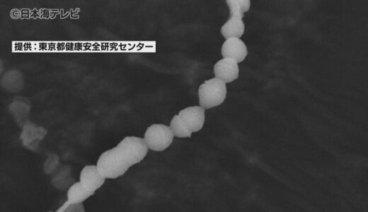 警報発令中　感染者が増加中の「溶連菌」　その現状と対策方法とは？　鳥取県