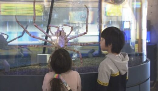 カニがメインの水族館…「配管むき出し」「危険」手作り水槽では限界　新たな水槽購入へクラファン挑戦…結果は？