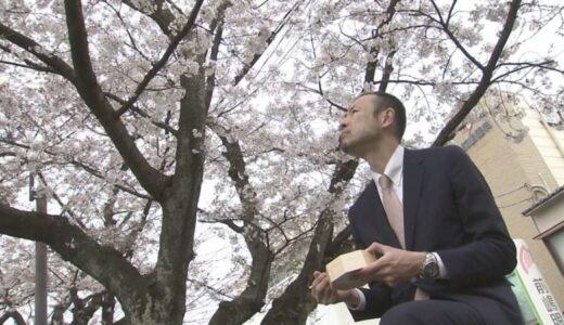 週末のお花見は？【鳥取市】袋川沿い2キロ続く桜並木…花より団子の人には「加熱式駅弁」