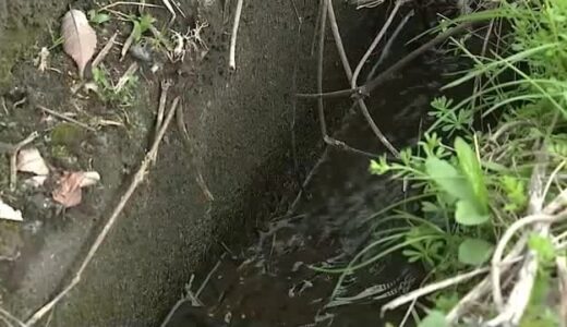 幅３０センチ水深５センチの用水路に自転車で転落し窒息死か…高齢男性が死亡（鳥取・若桜町）